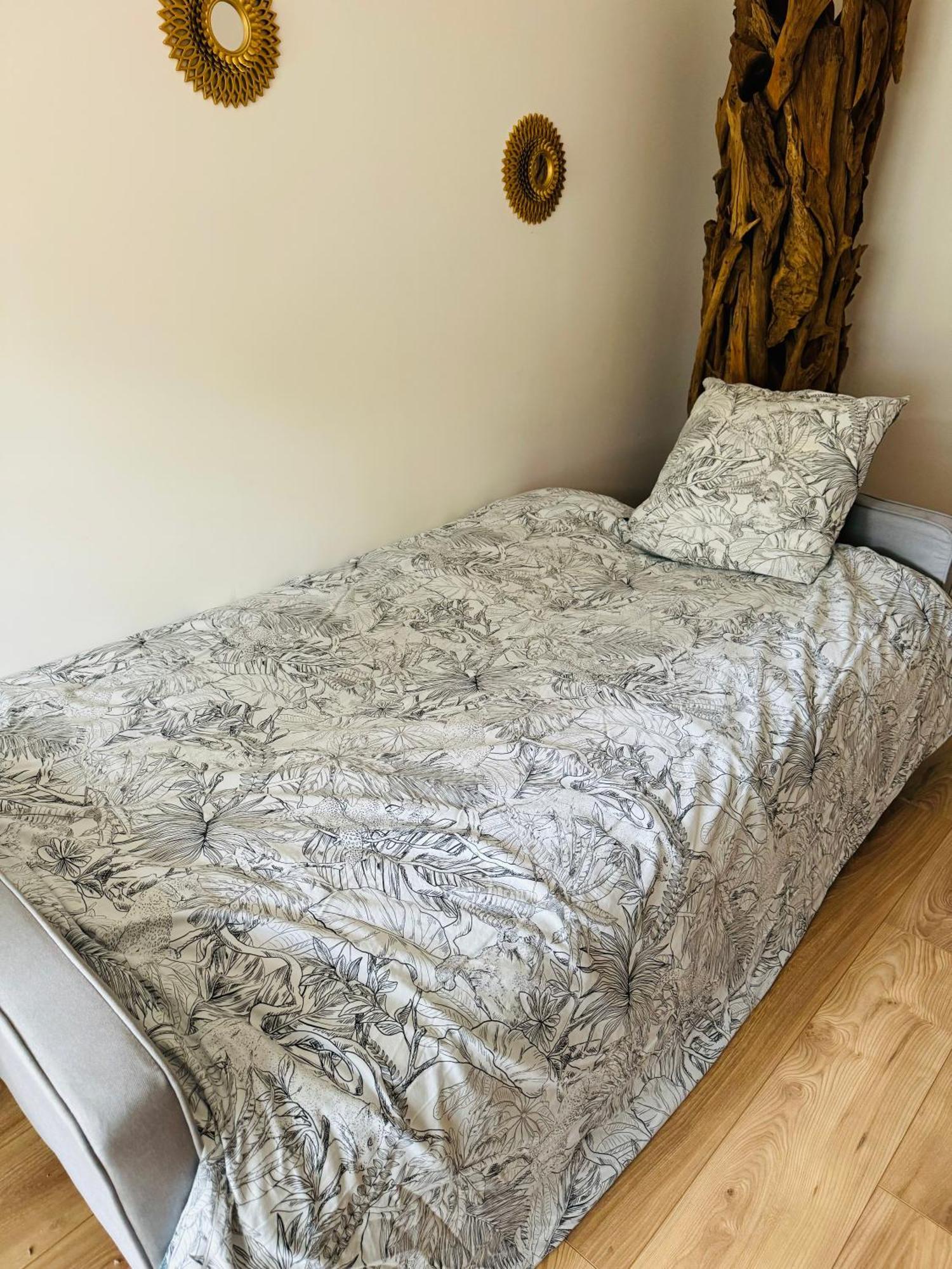 Bel Appartement Proche Parc & Lac Rennes Kültér fotó